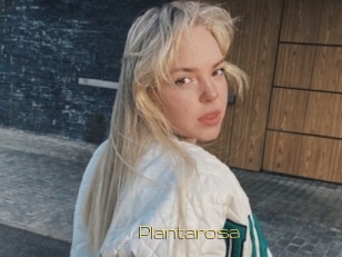 Plantarosa