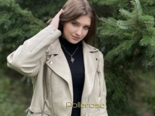 Pollerose