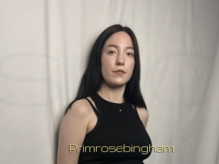 Primrosebingham