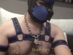 Puprush