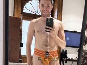 Pupstud