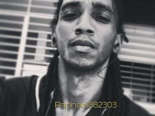 Raphael882303