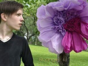 Rodrigie