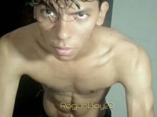 RogueBoy22