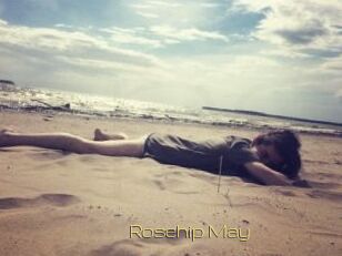 Rosehip_May