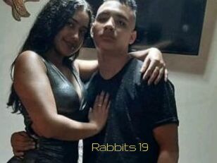Rabbits_19