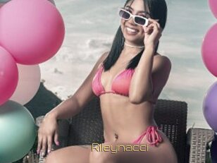 Rileynacci