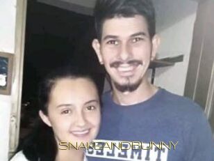 SNAKEANDBUNNY