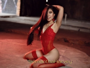 SamanthaHarvey Super Cul