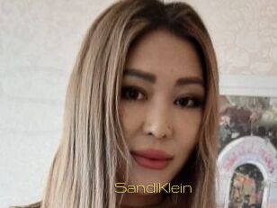 SandiKlein