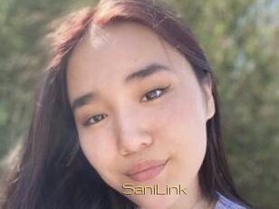 SaniLink