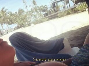 Sassharosse