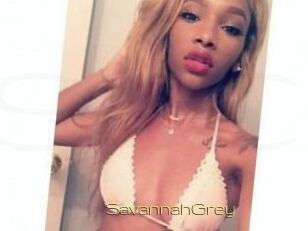 Savannah_Grey