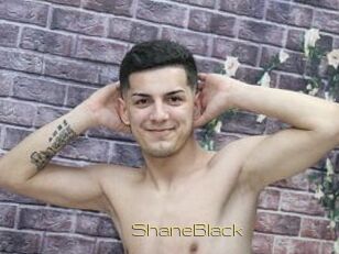 ShaneBlack