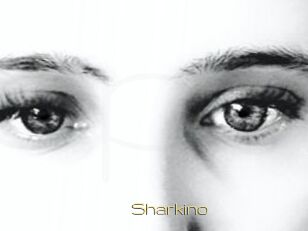 Sharkino