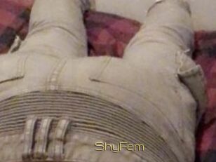 ShyFem