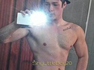 ShyLittleBoy20