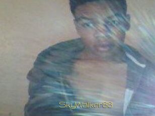 SkyWalker88