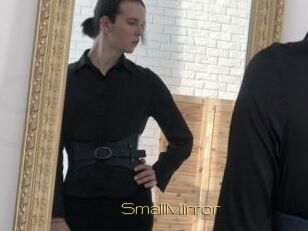 SmallMirror