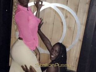 StallionPussy