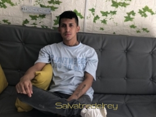 Salvatredelrey