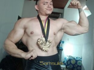 Samsulek
