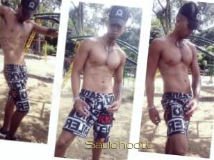 Saulohoott
