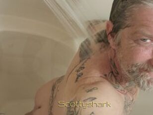 Scottyshark