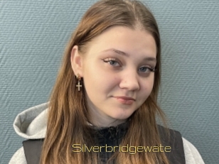 Silverbridgewate