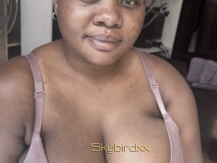 Skybirdxx