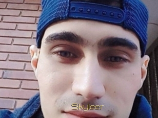 Skyleer