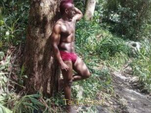 Tauro_Hott