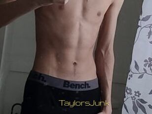 TaylorsJunk