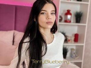 TerryBlueberry