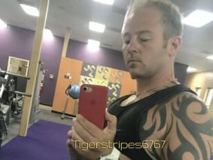 Tigerstripes6767