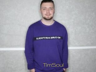 TimSoul
