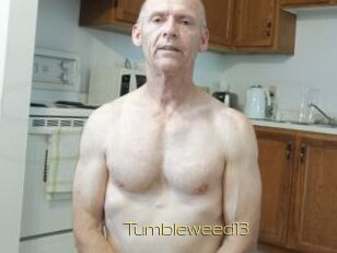 Tumbleweed13