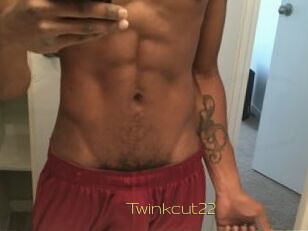 Twinkcut22