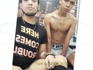 Twinksbigdick
