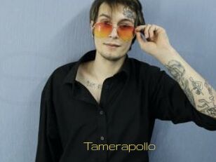 Tamerapollo