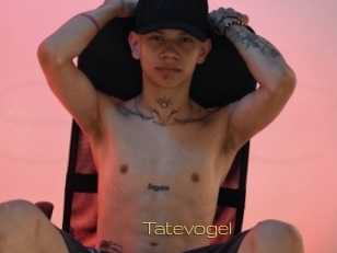 Tatevogel