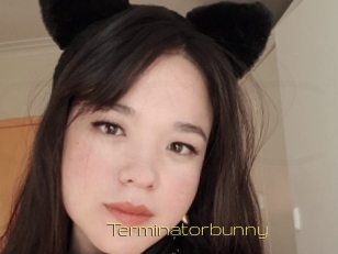 Terminatorbunny