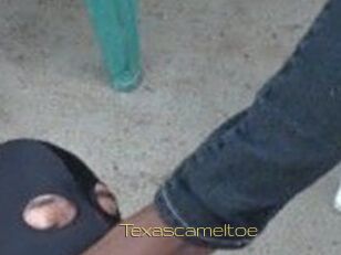 Texascameltoe