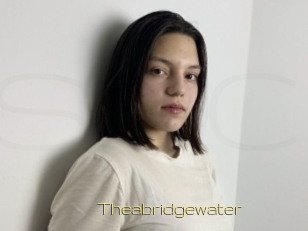 Theabridgewater
