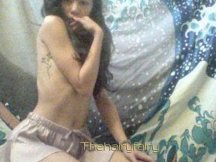 Thehairyfairy