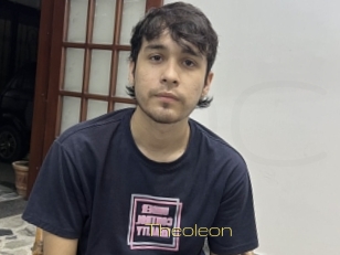 Theoleon