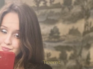 Tinamit
