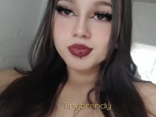 Tinybrandy