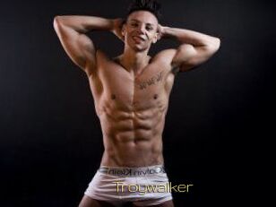 Troywalker