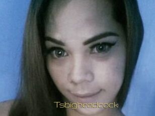 Tsbigheadcock